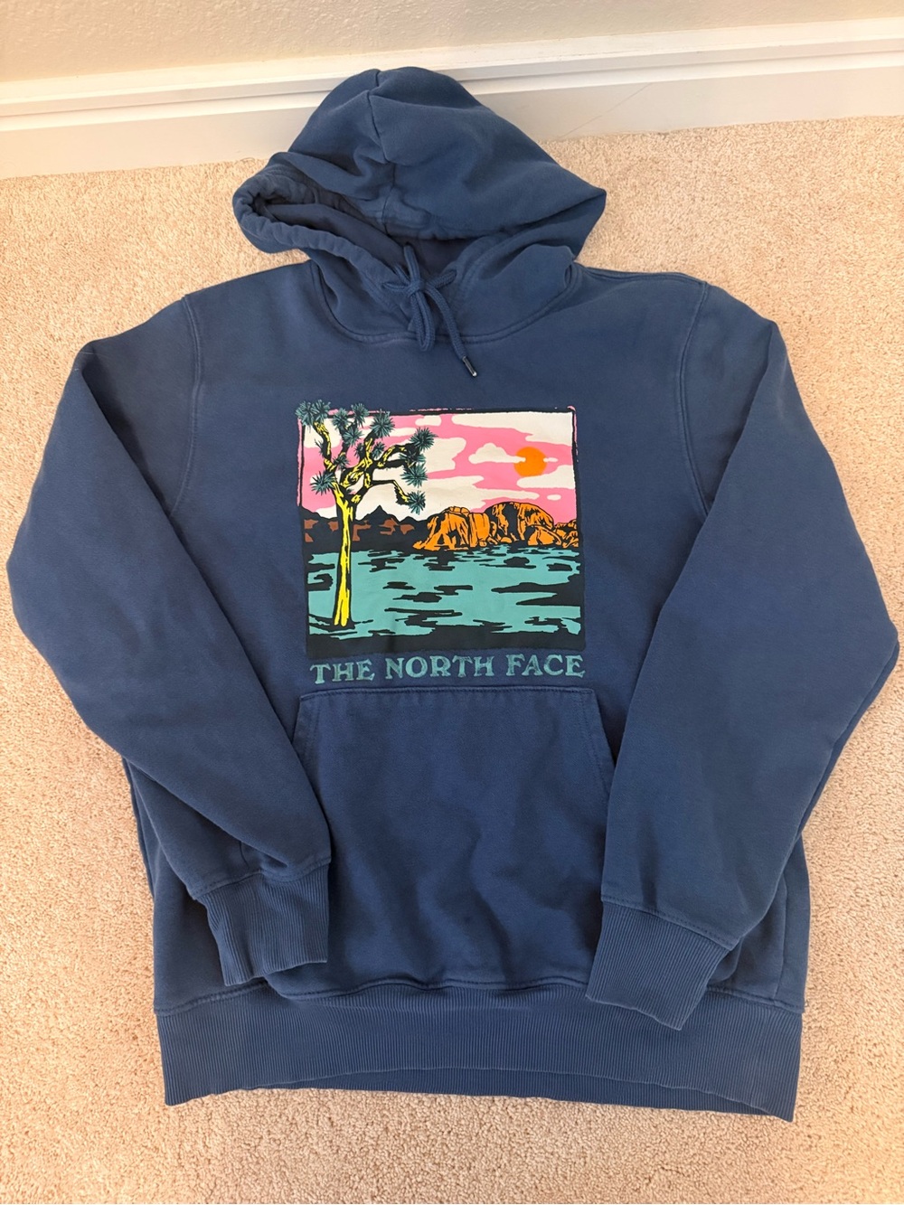 The North Face Men's Navy Pullover Hoodie with Multicolor Nature Graphic